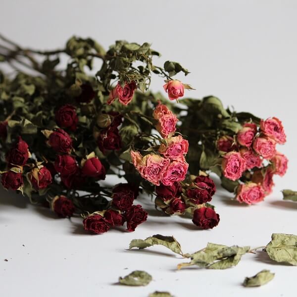 hoa đẹp chúc mừng valentine
